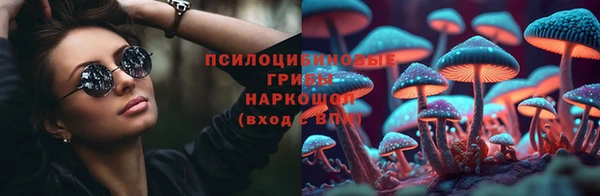дурь Алзамай