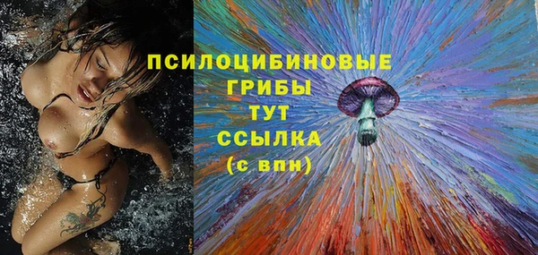 тгк Абдулино